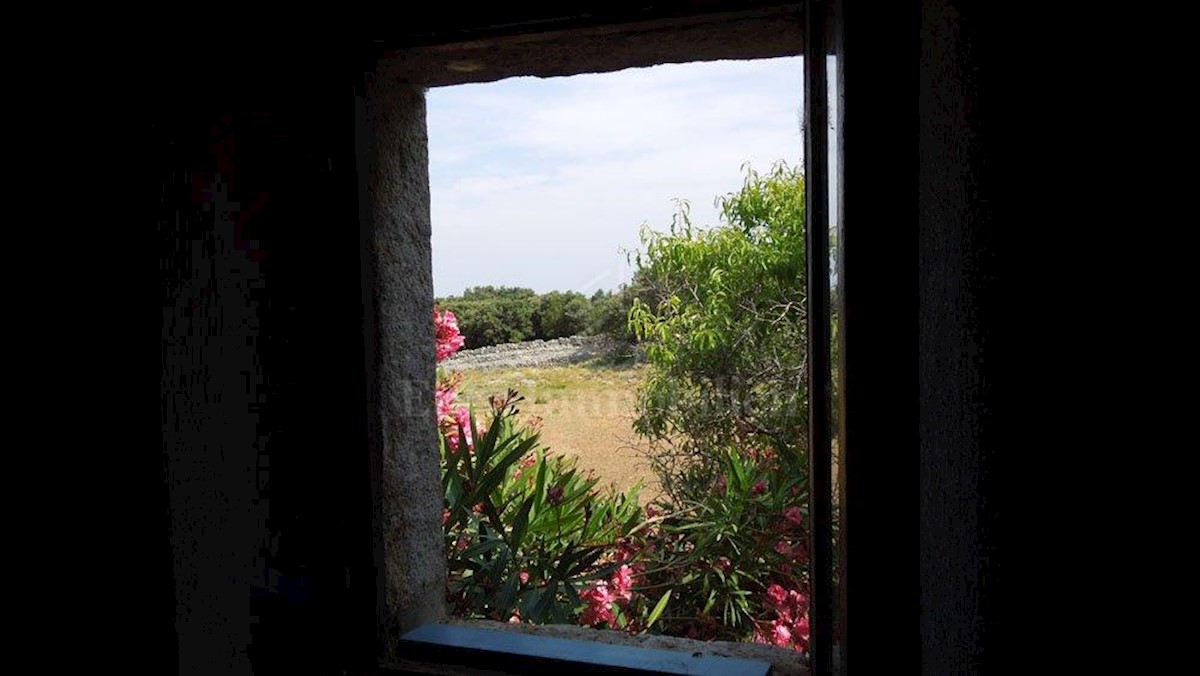 Punta Križa, island of Cres, land