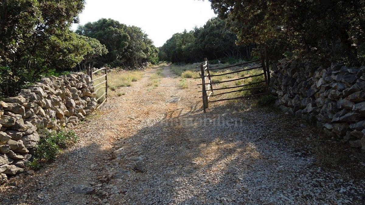 Punta Križa, island of Cres, land