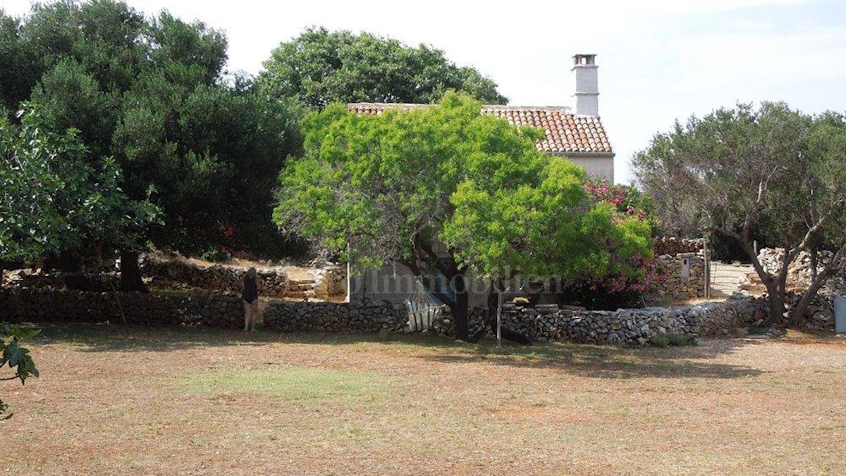 Punta Križa, island of Cres, land