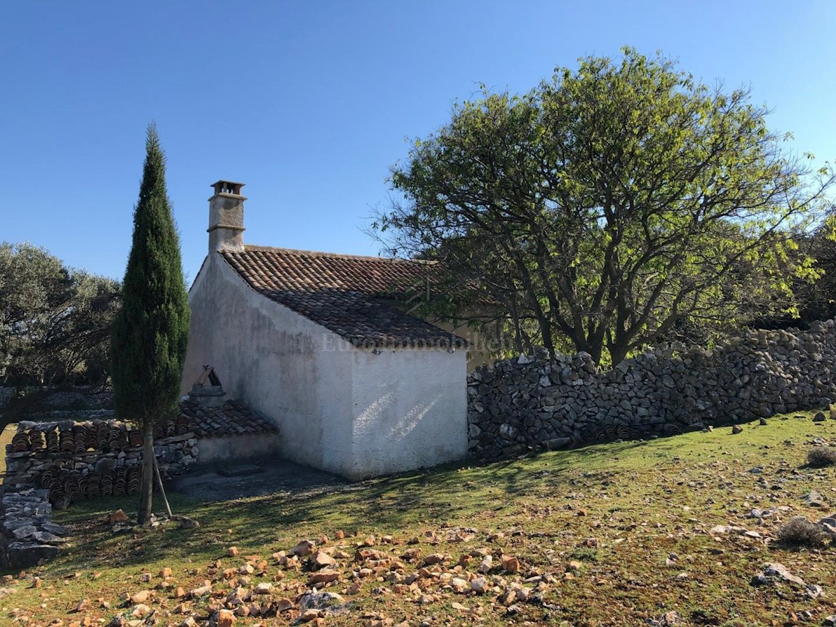 Punta Križa, island of Cres, land