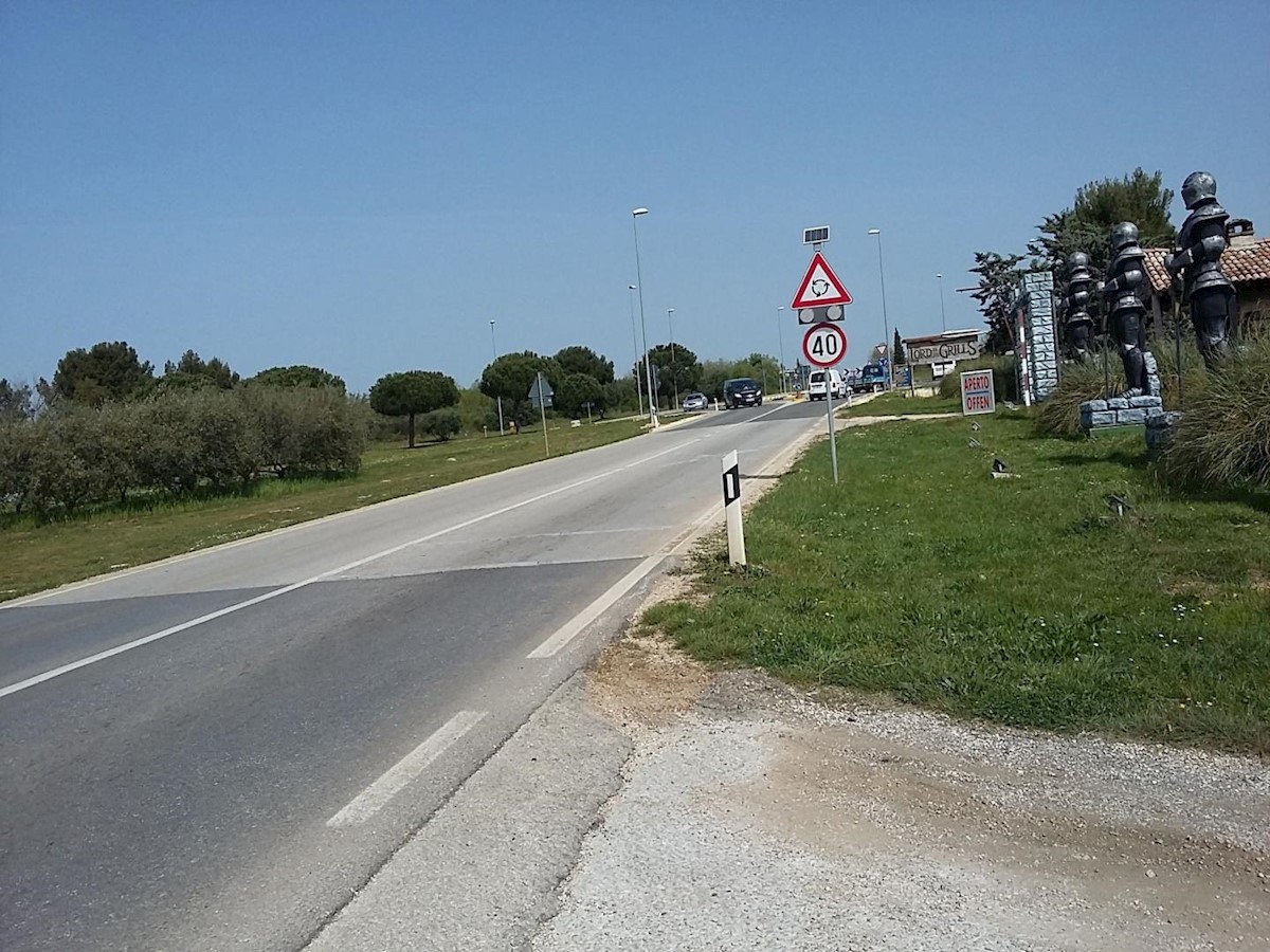 Terreni edificabili e ulivi, con vista sul mare