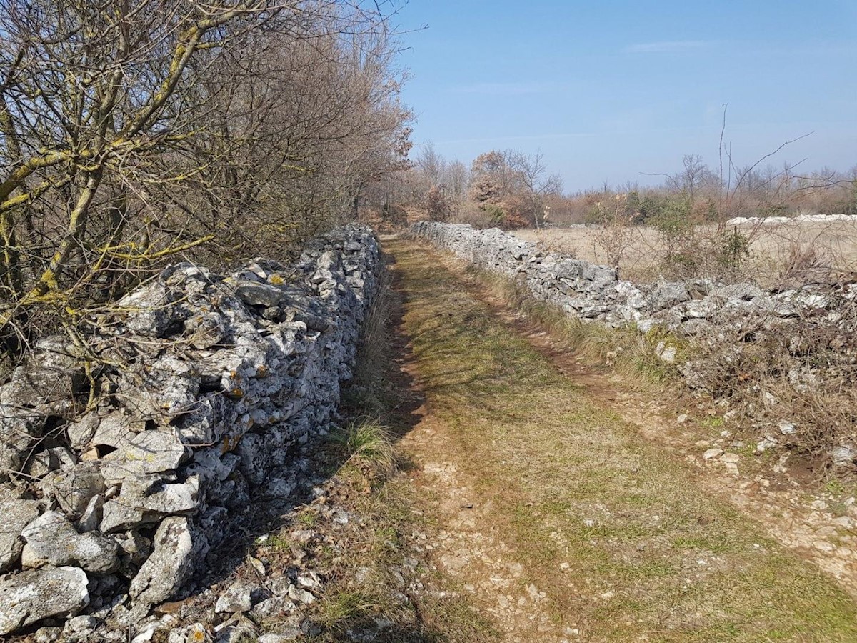 Terreno edificabile per la costruzione di diverse ville