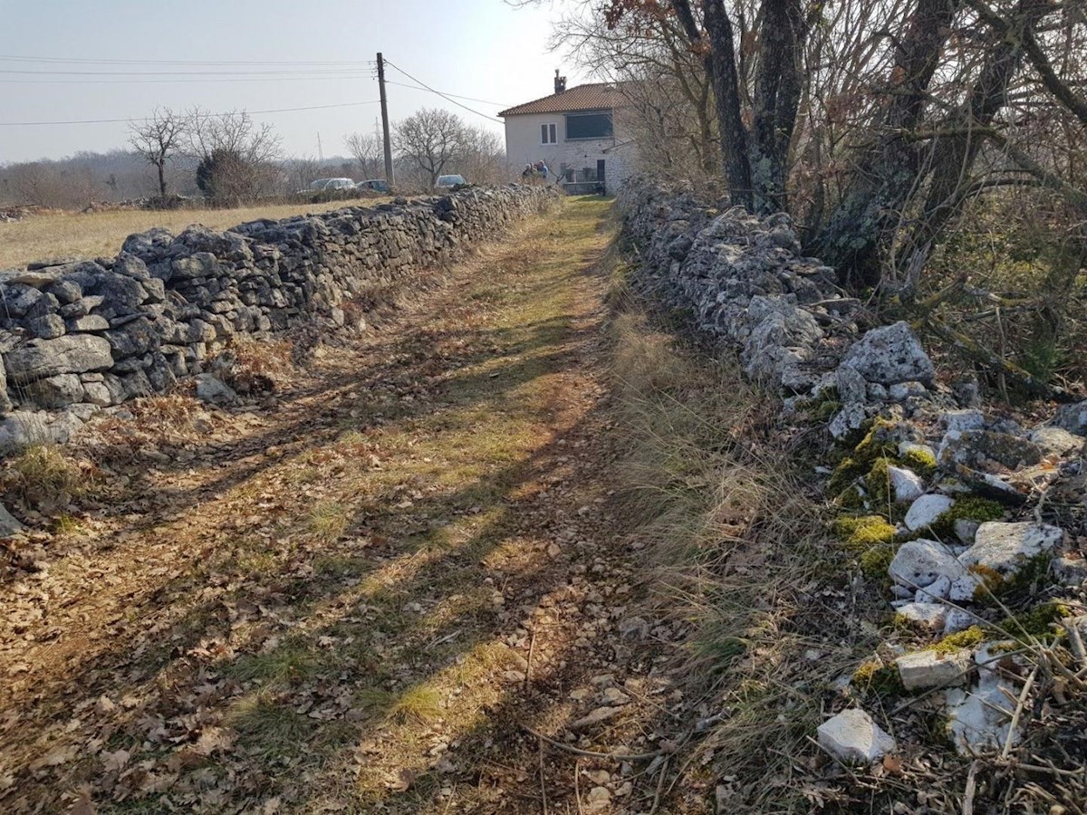 Terreno edificabile per la costruzione di diverse ville