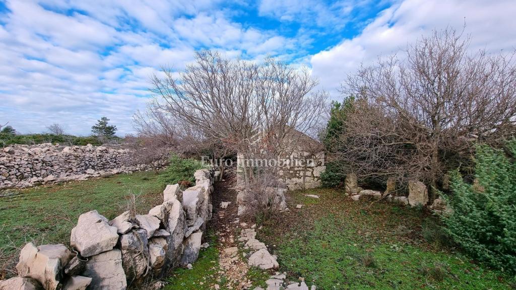 Casa in pietra nella natura selvaggia, 300 m dal mare, isola di Krk