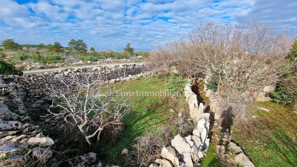 Casa in pietra nella natura selvaggia, 300 m dal mare, isola di Krk