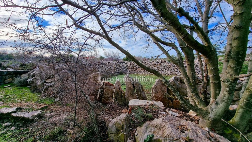 Casa in pietra nella natura selvaggia, 300 m dal mare, isola di Krk