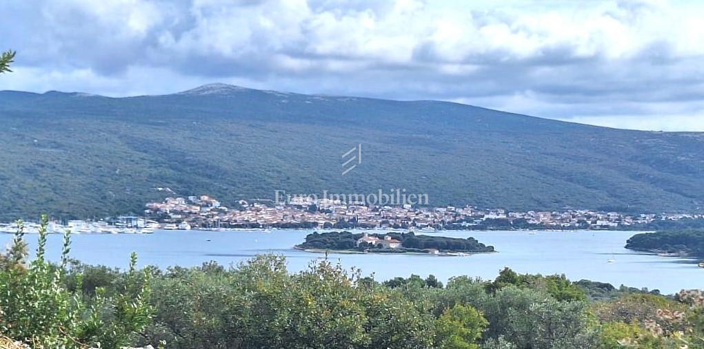 Uliveto vicino alla città di Krk, vista mare