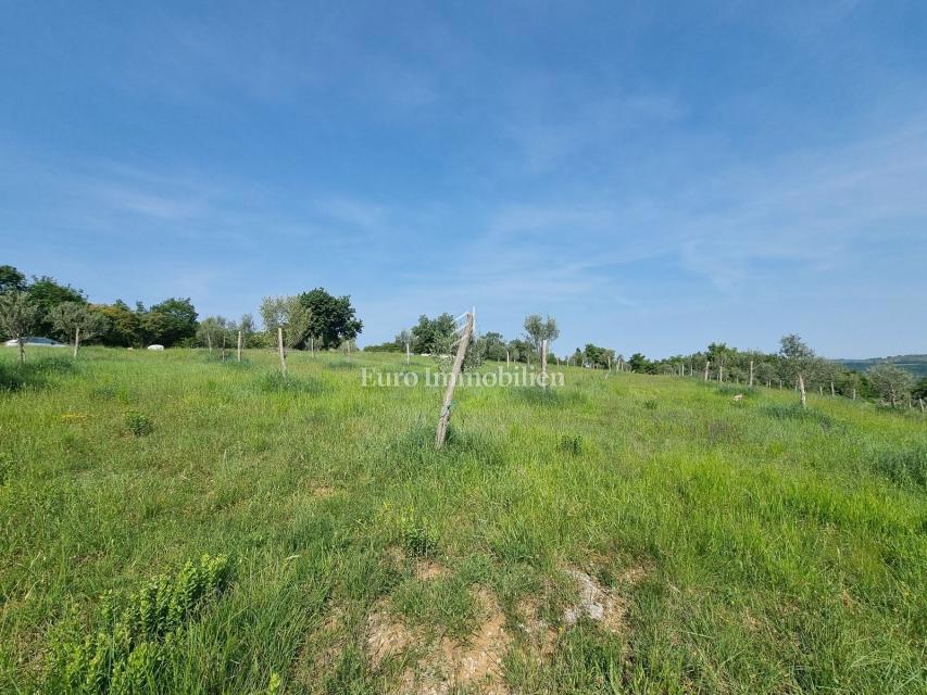 VICINO A BUJA! Più terreno edificabile con infrastrutture