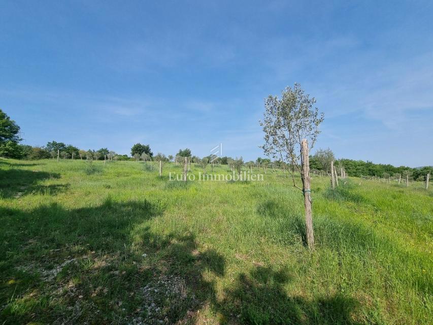 VICINO A BUJA! Più terreno edificabile con infrastrutture