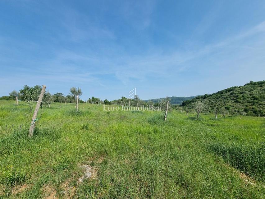 VICINO A BUJA! Più terreno edificabile con infrastrutture