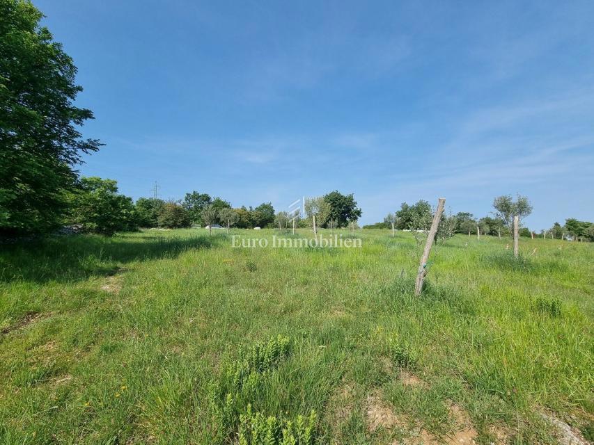 VICINO A BUJA! Più terreno edificabile con infrastrutture