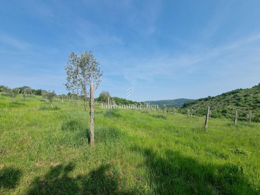 VICINO A BUJA! Più terreno edificabile con infrastrutture