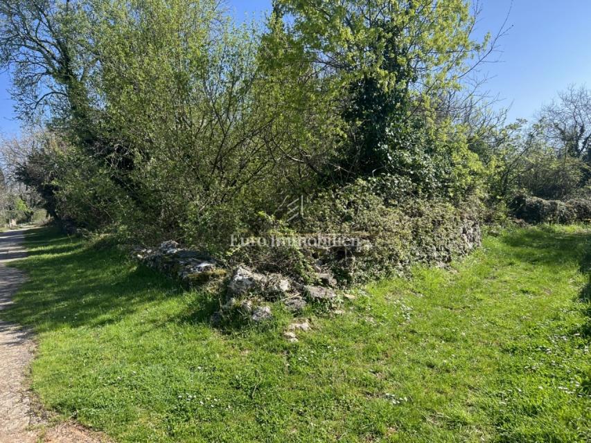 Istria, Svetvinčenat, terreno edificabile di con rudere