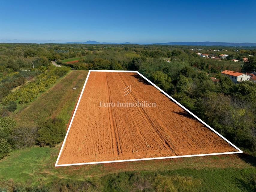 Istria – terreno edificabile di forma regolare con accesso