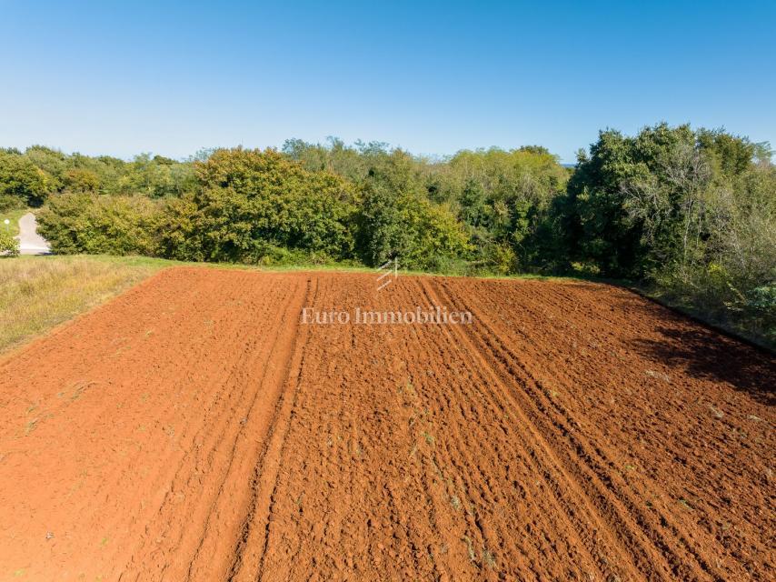 Istria – terreno edificabile di forma regolare con accesso