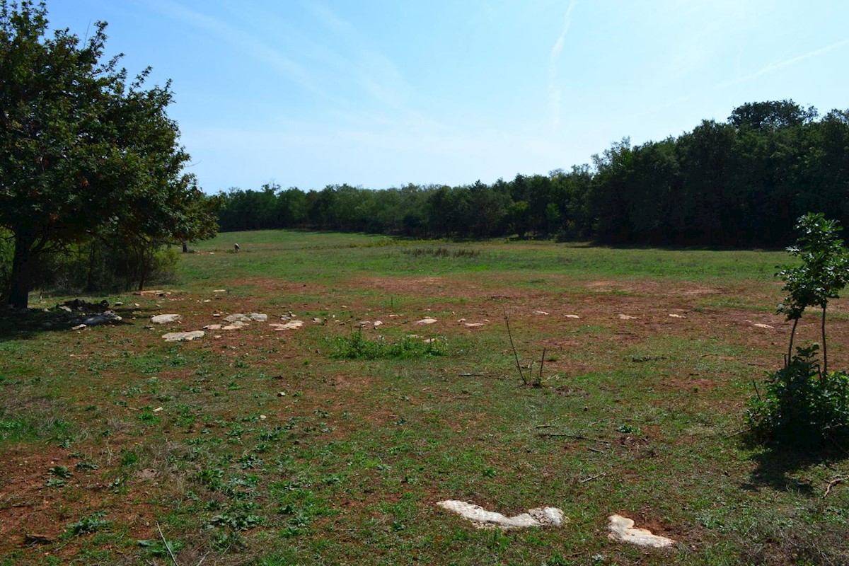 Attractive agricultural land