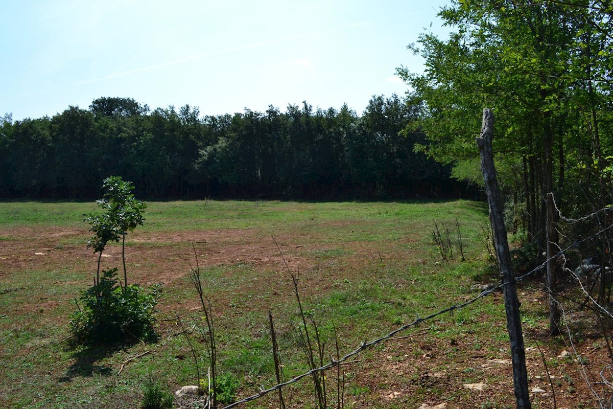 Attractive agricultural land