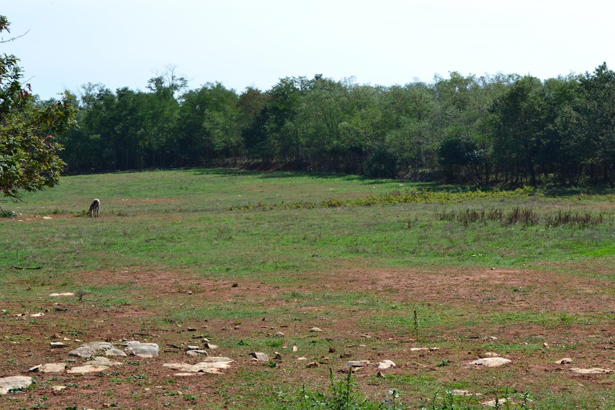 Attractive agricultural land