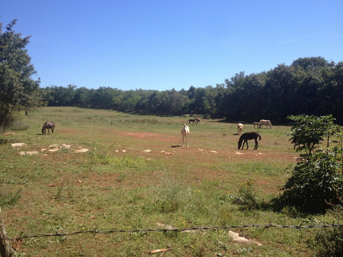Attractive agricultural land