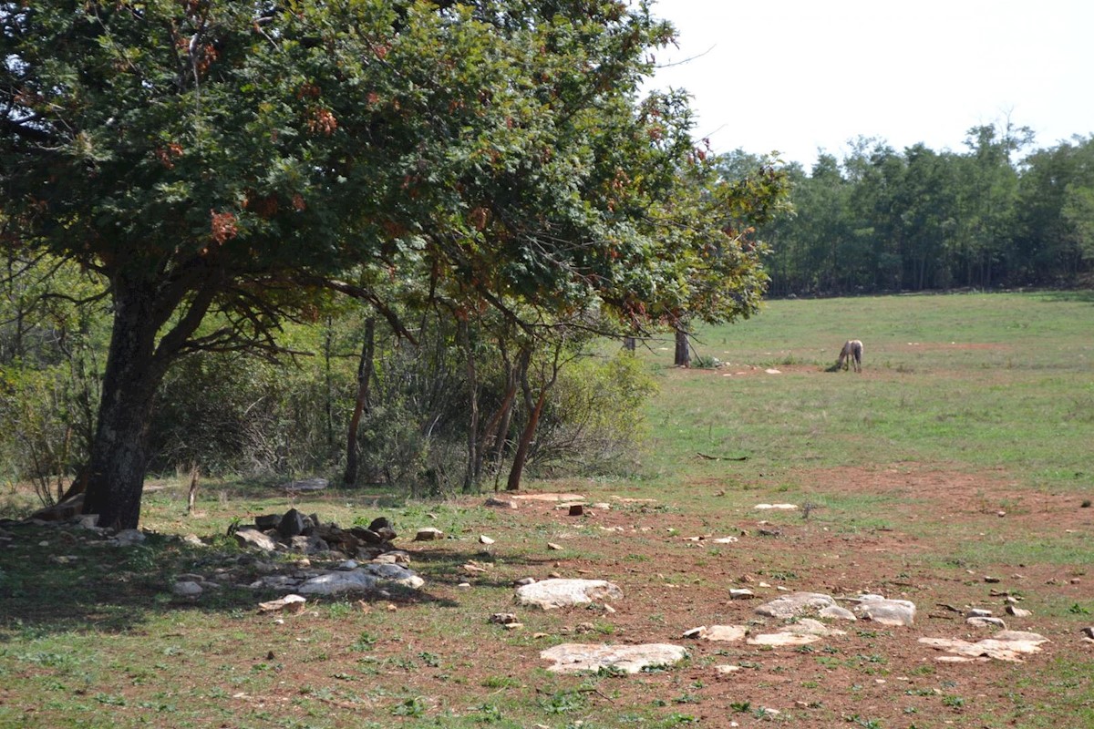 Attractive agricultural land