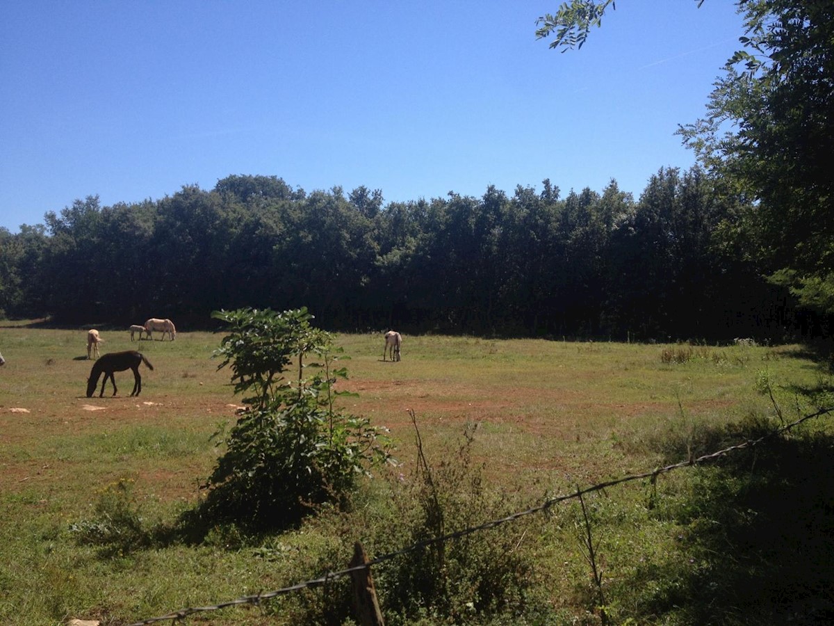 Attractive agricultural land