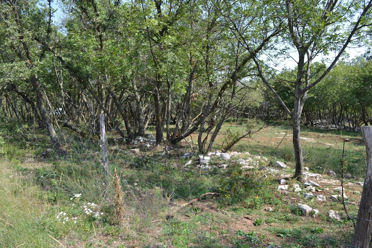 Attractive agricultural land