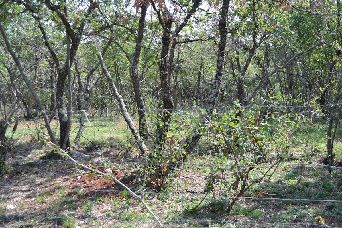 Attractive agricultural land