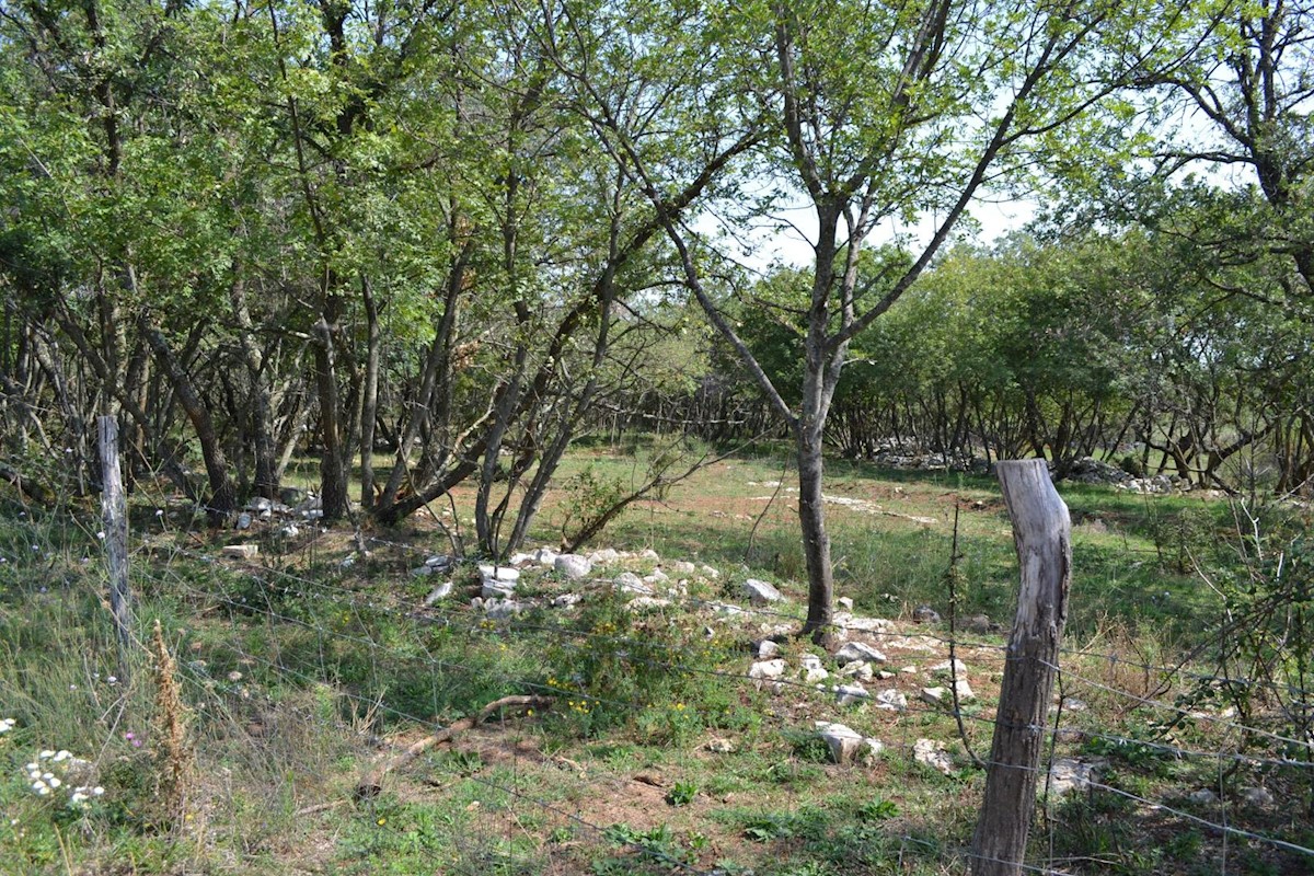 Attractive agricultural land