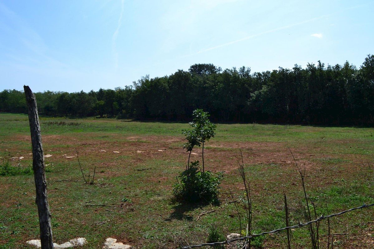 Attractive agricultural land