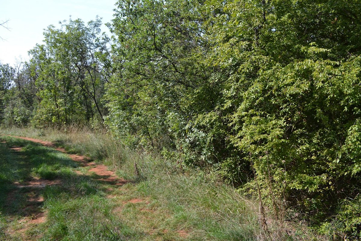 Attractive agricultural land