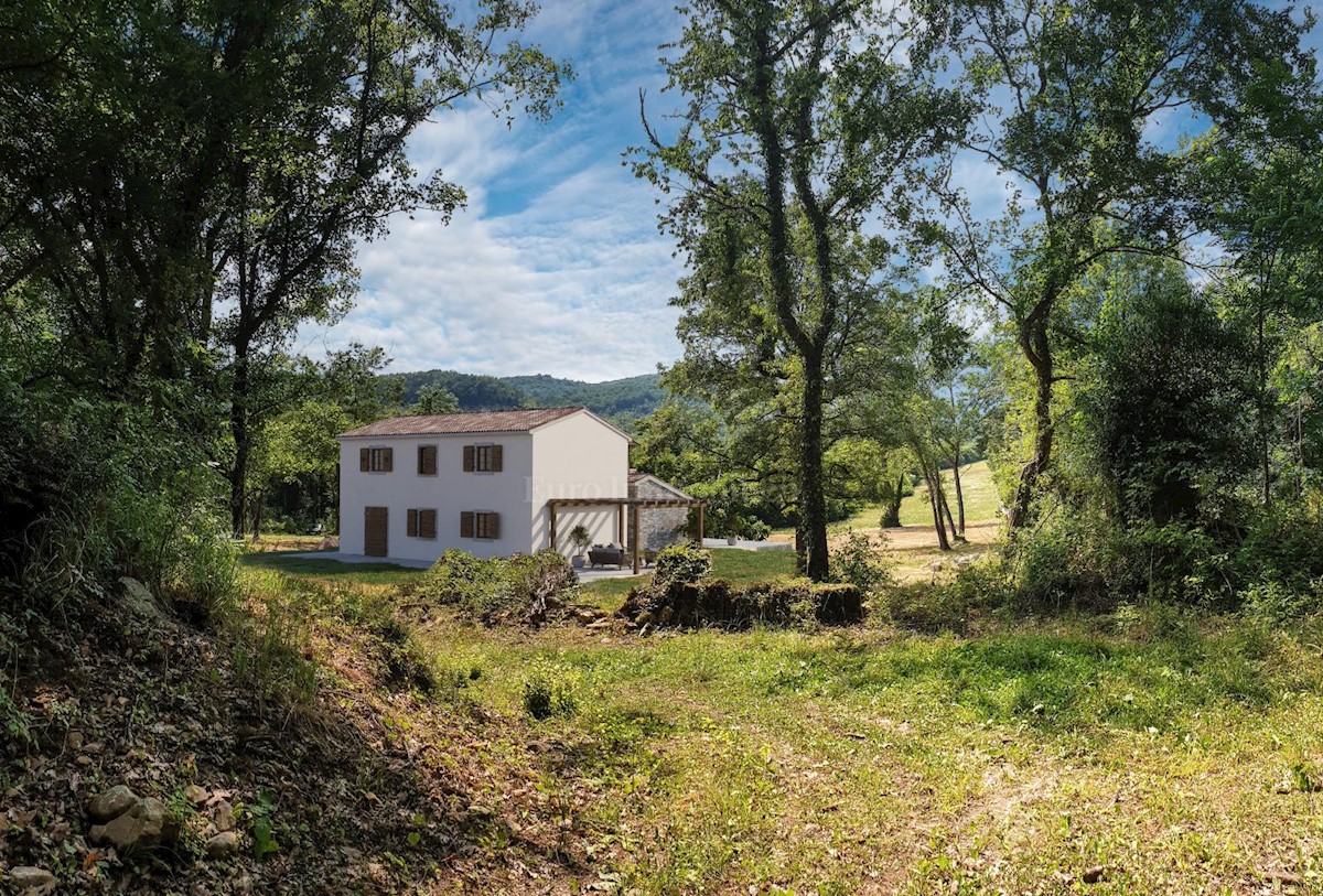 Beautiful family house in the vicinity of Buzet