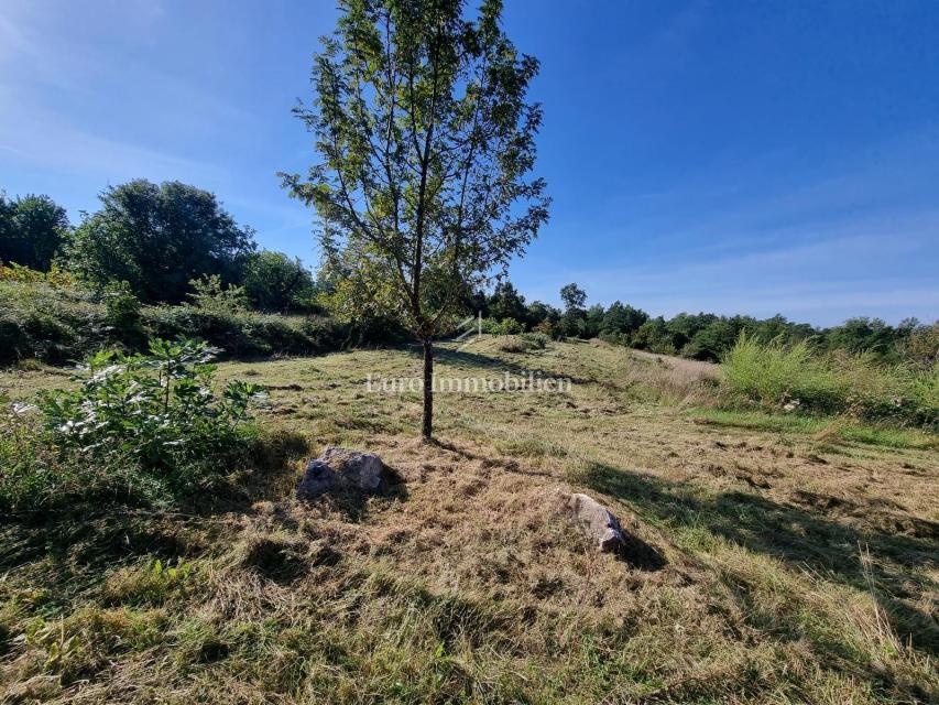 Terreno edificabile vicino al centro di Albona