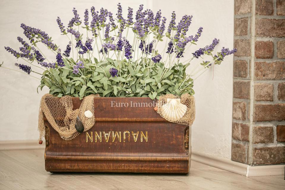 NOVI VINODOLSKI - affascinante casa nel centro della città