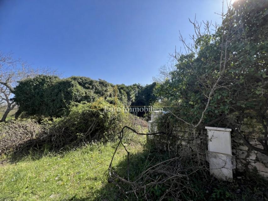 Istria, Svetvinčenat, rudere in pietra, terreno 1.101 m²