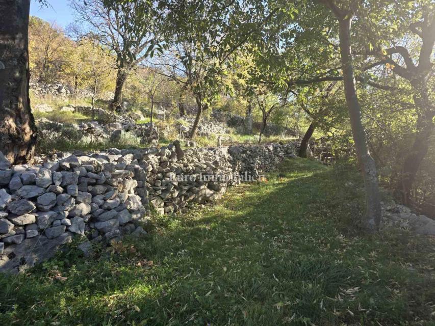 Entroterra di Novi Vinodolski, Due case con ampio giardino