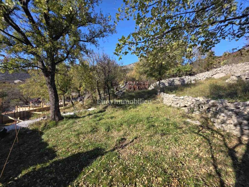 Entroterra di Novi Vinodolski, Due case con ampio giardino