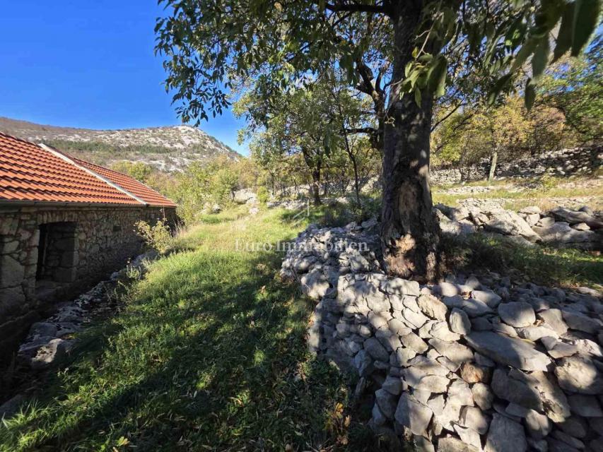 Entroterra di Novi Vinodolski, Due case con ampio giardino