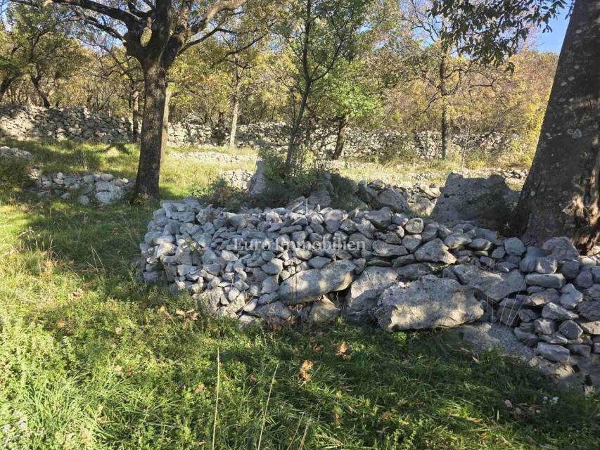 Entroterra di Novi Vinodolski, Due case con ampio giardino