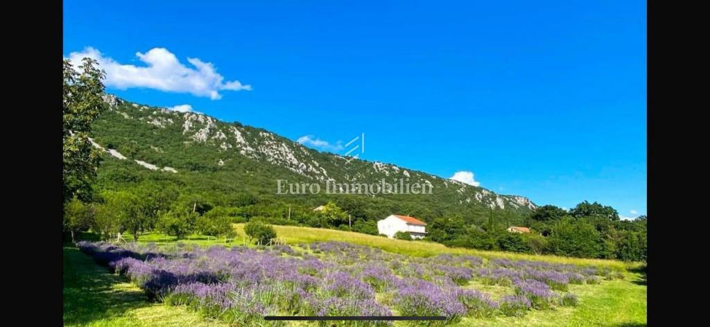 Terreno edificabile con permesso e fondamenta – Bribir, vista mare