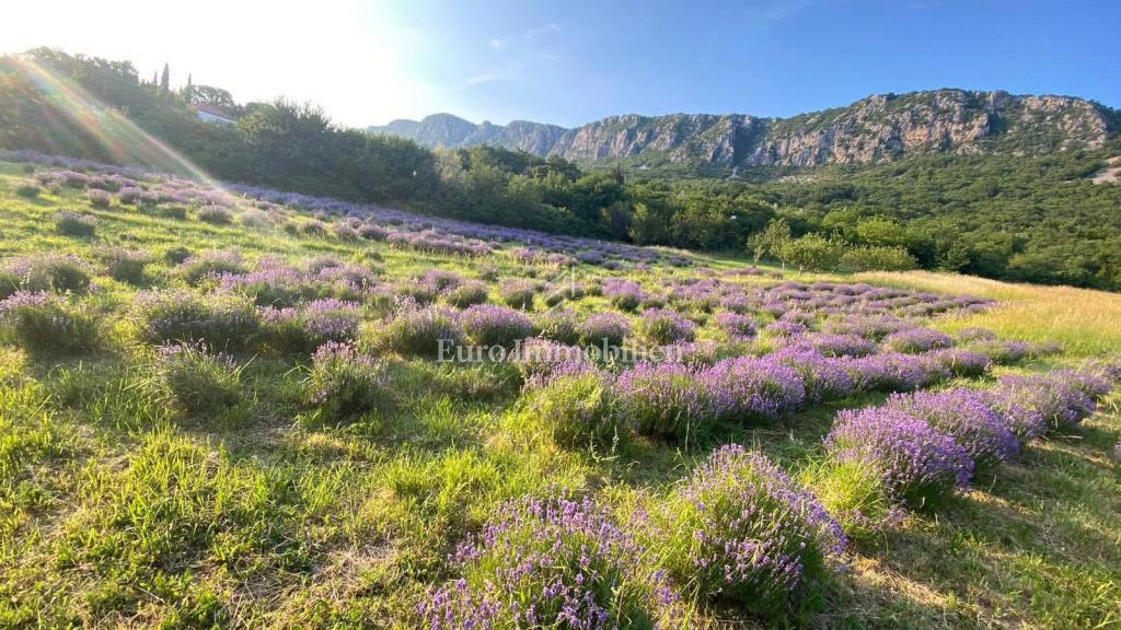 Terreno edificabile con permesso e fondamenta – Bribir, vista mare