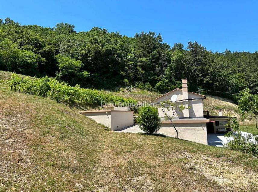 Casa con ampio cortile, Cerovlje, Istria