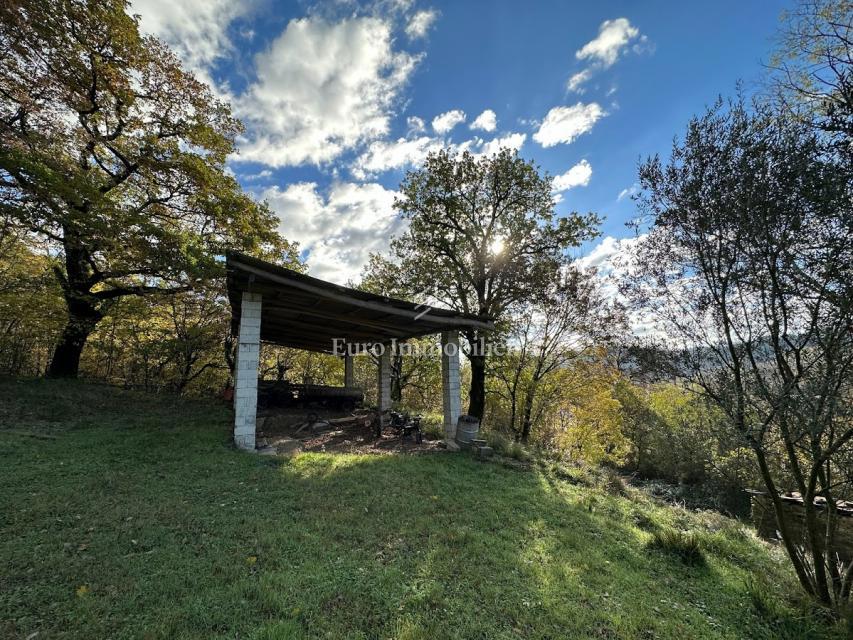 Cerovlje - un tenuta istriana con 11.000 m² di terreno
