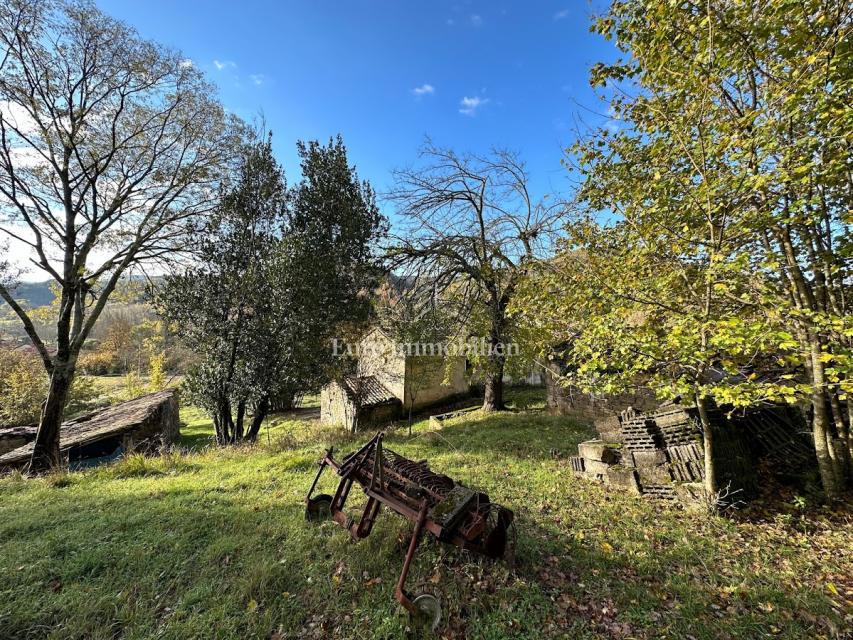 Cerovlje - un tenuta istriana con 11.000 m² di terreno