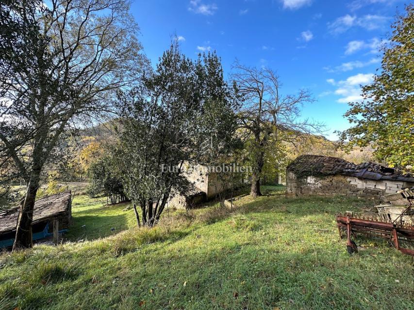 Cerovlje - un tenuta istriana con 11.000 m² di terreno