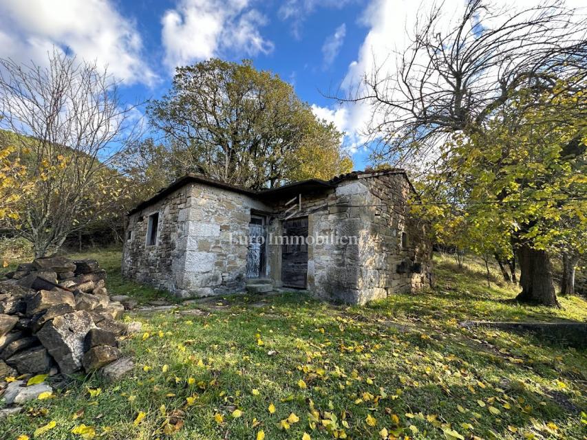 Cerovlje - un tenuta istriana con 11.000 m² di terreno