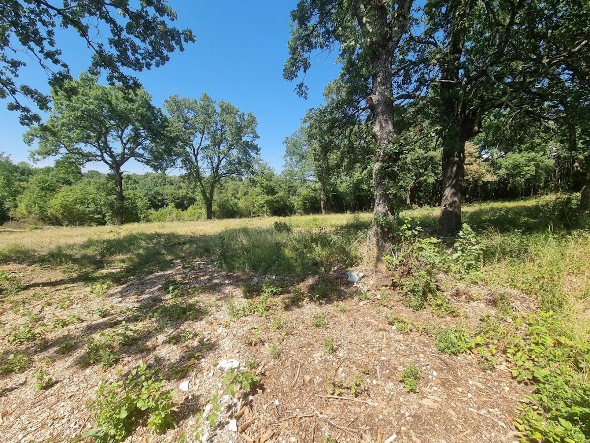 Il terreno edificabile ed agricolo 