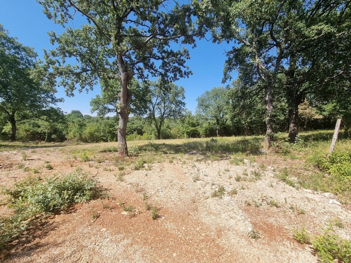 Il terreno edificabile ed agricolo 