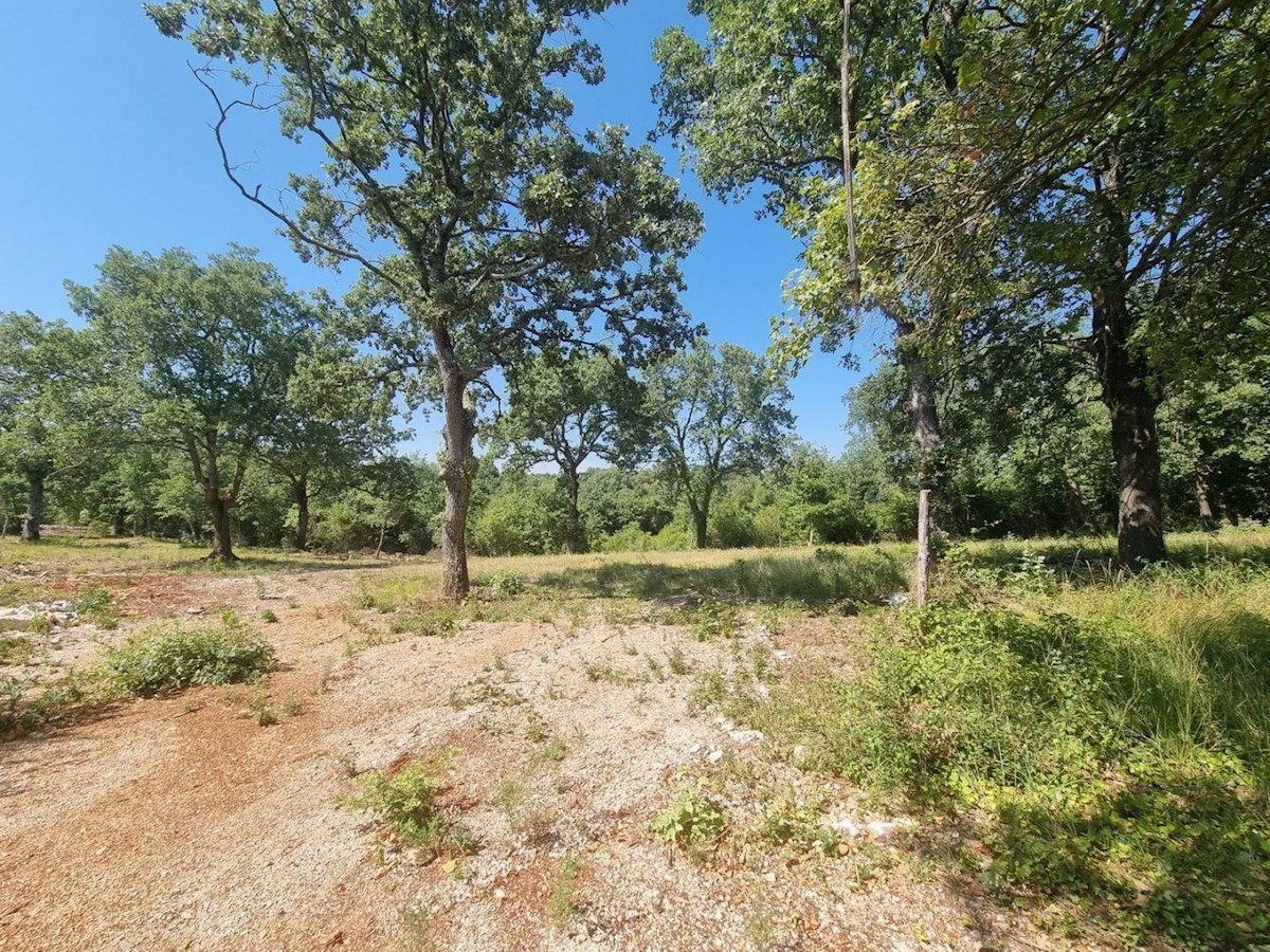 Il terreno edificabile ed agricolo 