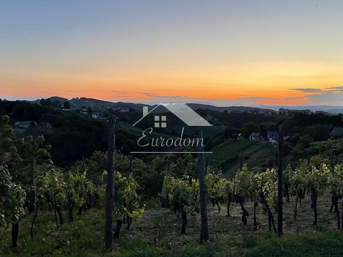 Casa nel verde – armonia tra natura e comfort – Veliki Lovrečan