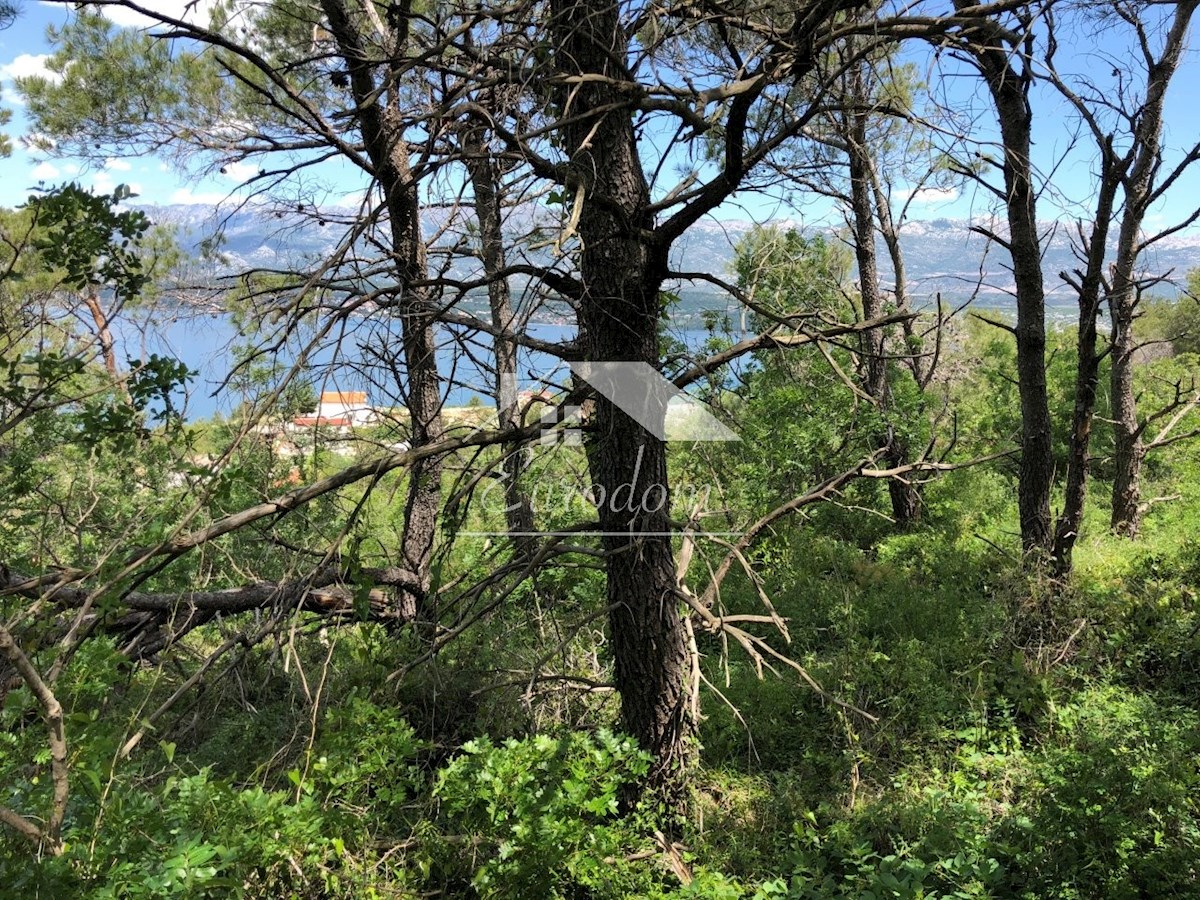 NOVIGRAD (ZARA) – TERRENO EDIFICABILE CON PROGETTO PER 3 VILLE CON PISCINA, A 100 M DAL MARE